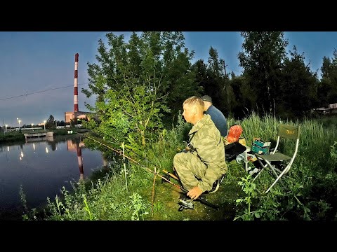 Видео: Самая простая снасть на сома! Ловля сома на куриную печень. Ночная рыбалка на сома в июне.