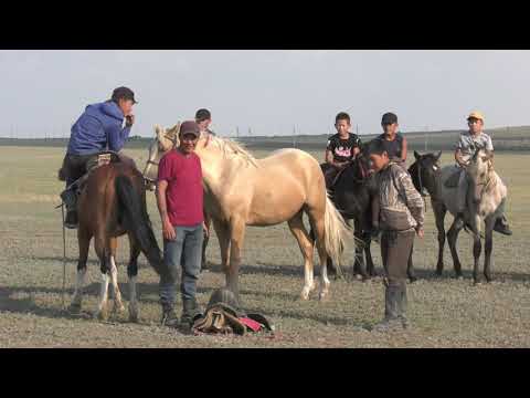 Видео: "БІР КҮН" / "ШОРТАНДЫ АУДАНЫ, БЕКТАУ АУЫЛЫ" / 17.09.2021