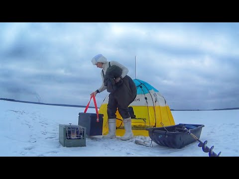 Видео: РЫБАЛКА на ЛЕЩА со льда в палатке