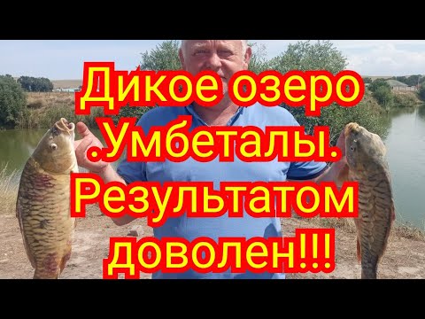 Видео: Рыбалка близ Алматы. Дикое озеро, Умбеталы. Карп на макуху.