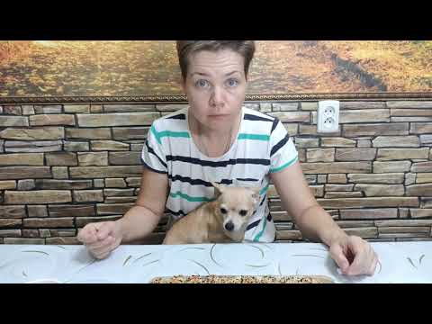 Видео: ЭТА ЗАКУСКА НА ПРАЗДНИЧНОМ СТОЛЕ ПОРАДУЕТ ВАШИХ ГОСТЕЙ#закусканапраздник #вкуснаявыпечка #фуршет#еда