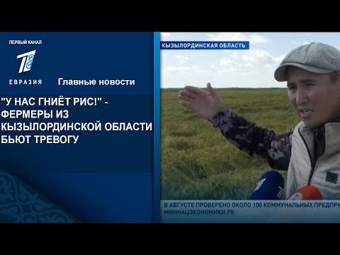 Видео: "У НАС ГНИЁТ РИС!" - ФЕРМЕРЫ ИЗ КЫЗЫЛОРДИНСКОЙ ОБЛАСТИ БЬЮТ ТРЕВОГУ