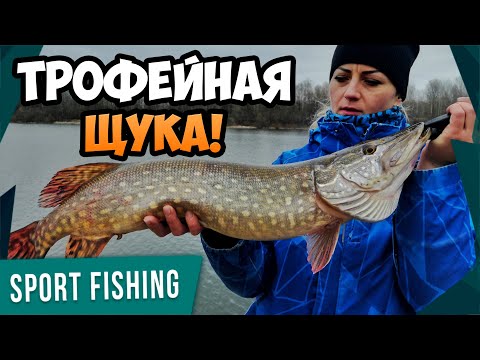 Видео: Эта ПРИМАНКА ловит ТРОФЕИ! Весенний НЕРЕСТ щуки начался! КОНКУРС - ДАРИМ КАТУШКУ!
