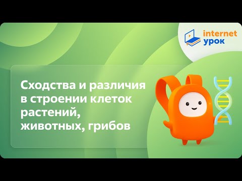 Видео: Сходства и различия в строении клеток растений, животных, грибов. Видеоурок по биологии 10 класс