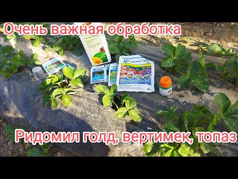 Видео: Ридомил голд, вертимек, топаз первое внесение весной