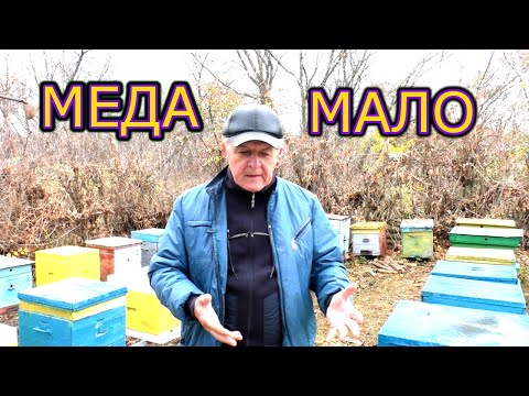 Видео: Ноябрь. В улье меда мало. Что делать?