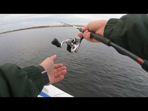 Видео: Такого я еще не видел!Осенний выход жереха.