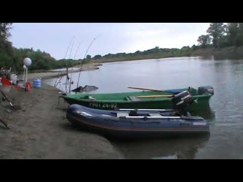 Видео: Не всегда коту масленница