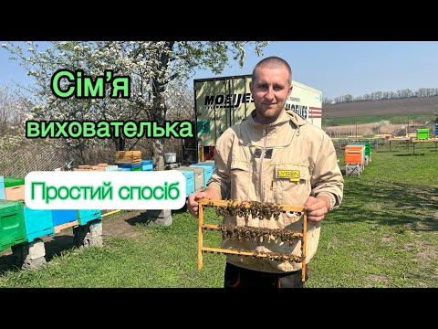 Видео: Виведення маток 🐝 Як зробити сімʼю виховательку? Найлегший спосіб 🔝