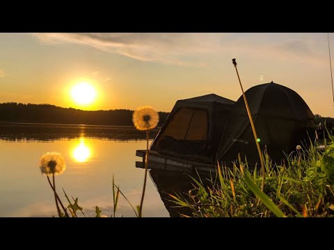 Видео: Карповая ловля на базе отдыха Стадион | Курская область | РСК Стадион | Карпфишинг 2025