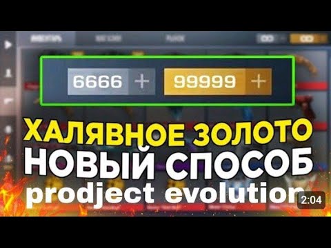 Видео: Как дюпать голду  в 2024 году в приватке Project Evolution 4.2