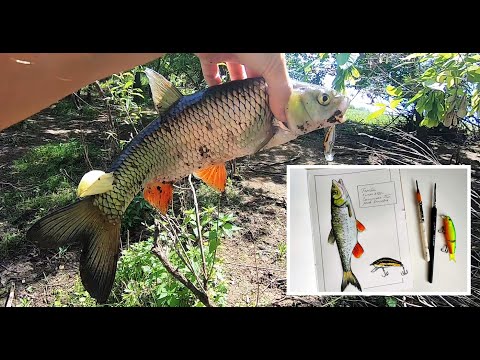 Видео: Рыбалка на голавля. Рисую голавля в скетчбуке.