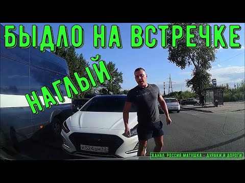 Видео: Быдло на встречке #187! Подборка на видеорегистратор!
