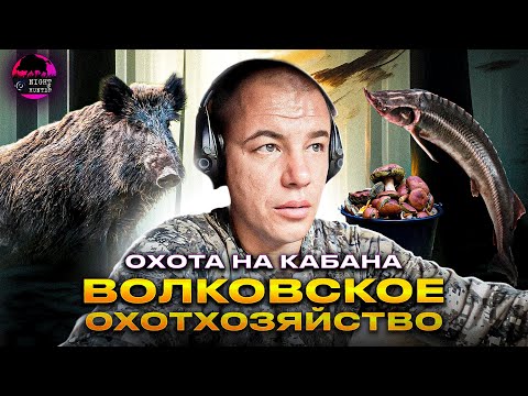 Видео: Охота достойная миллиардеров. Волковское охотхозяйство. Открытие по кабану 2023г.