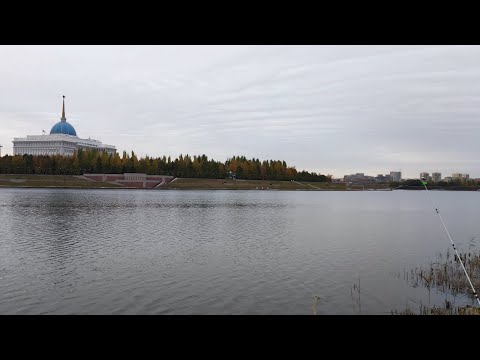 Видео: Рыбалка в сердце Казахстана. Астана. Street Fishing. #рыбалка #fishing #ribalka #streetfishing #ишим