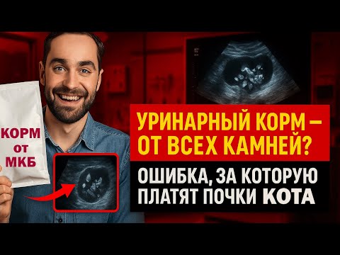 Видео: Почему слепая вера в уринарный корм является причиной появления новых камней и ХПН у собак и кошек
