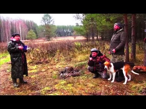 Видео: РПГ М-КАМА вл. Романов Р.П.2 наброс «1-е состязания Полевых Чемпионов и Победителей»