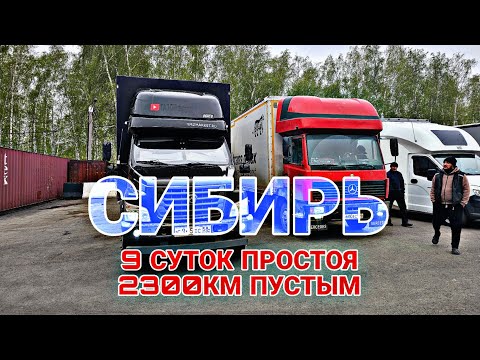 Видео: ПРОСТОЯЛ В КРАСНОЯРСКЕ 9 СУТОК И УЕХАЛ ПУСТЫМ. ГАЗОН НЕКСТ