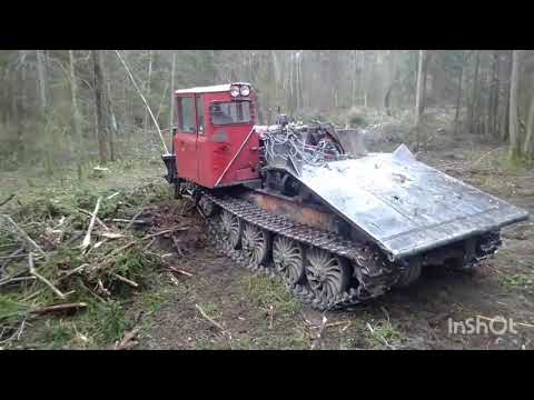Видео: Уборка делянки трелевочным трактором ТДТ55 с самодельным приспособлением.