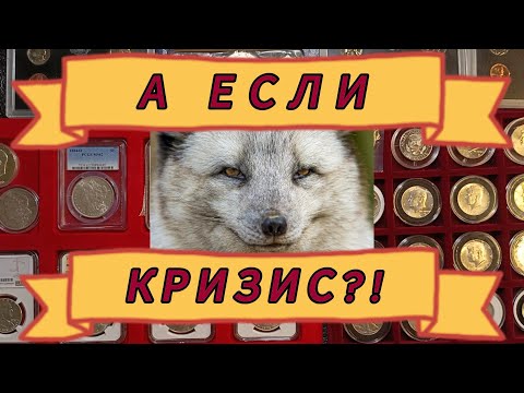 Видео: Глобальный кризис?! Можно ли спасти деньги и помогут ли монеты?