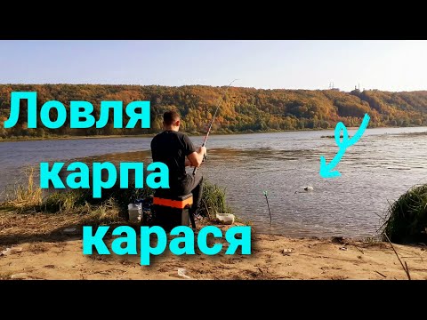 Видео: Рыбалка в Нижегородской области. КАРП НА ФИДЕР. Ловля КАРАСЯ на фидер. Рыбалка на Оке 2021