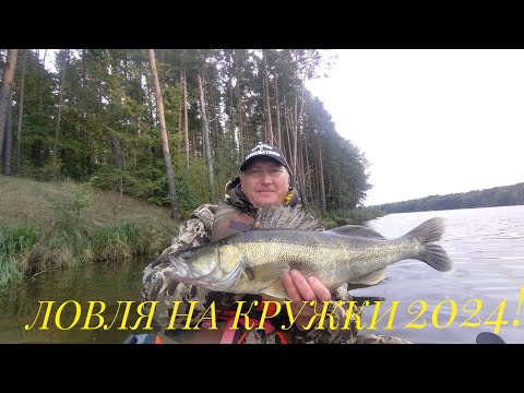 Видео: ОТКРЫТИЕ СЕЗОНА ПО ХИЩНИКУ! КЛЫКАСТЫЙ ЗАДАЛ ЖАРУ! ЛОВЛЯ НА КРУЖКИ В ОКТЯБРЕ 2024!