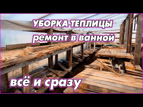 Видео: Плитка в ванной уже лежит. Теплица пока стоит. Жизнь идёт