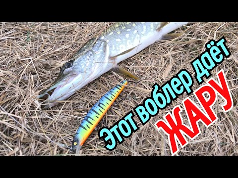 Видео: Этот ВОБЛЕР даёт ЖАРУ🔥. Рыбалка 🎣 на СЕВЕРСКОМ ДОНЦЕ 