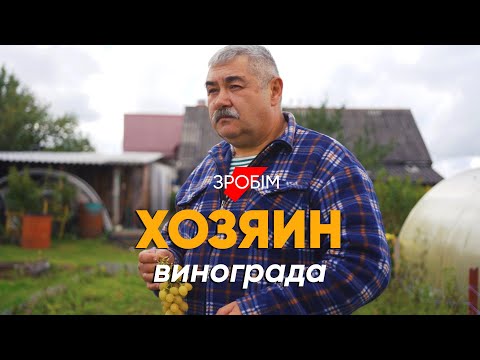 Видео: Посадил виноград и больше нигде не работаю: #рассказ про хозяина плантации