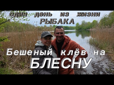 Видео: БЕШЕНЫЙ КЛЁВ НА БЛЕСНУ. НОВЫЙ РЕКОРД ПО КОЛИЧЕСТВУ ПОЙМАНЫХ ЩУК.