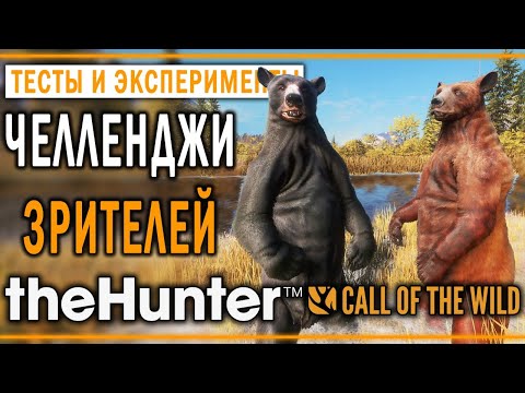 Видео: theHunter Call of the Wild #20 🐻 - Челленджи и Задания Зрителей (2020)