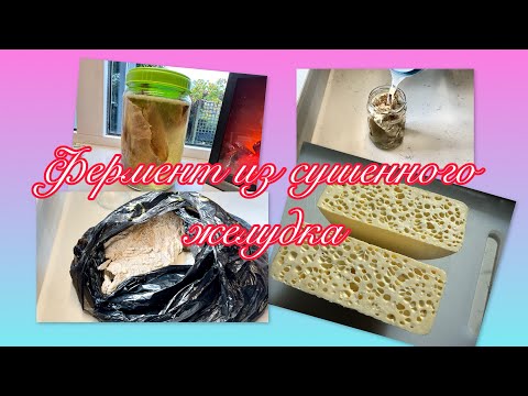 Видео: КАК ПРИГОТОВИТЬ ФЕРМЕНТ ИЗ ЖЕЛУДКА ДЛЯ СЫРА ( АХСАЕН) 🌺 FERMENT FOR HOMEMADE CHEESE 🌺@Amond