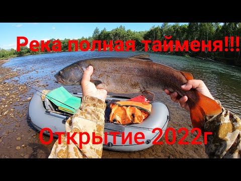 Видео: ПЕРВЫЙ СПЛАВ 2022!!!/В ЭТОЙ РЕКЕ ТАЙМЕНЯ БОЛЬШЕ ЧЕМ МАЛЬКА!!!/РЫБАЛКА НА СПИННИНГ!!!