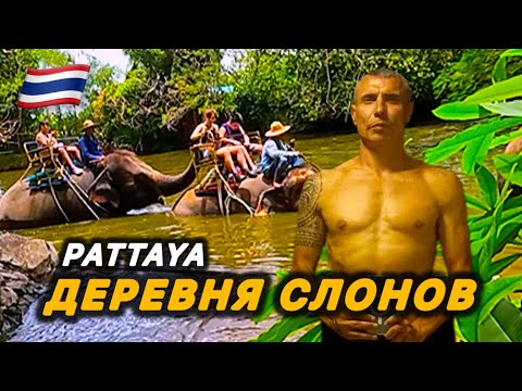 Видео: 🇹🇭 ЛЮБОПЫТНО  / ДЕРЕВНЯ СЛОНОВ / ПАТТАЙА 2025 / Шоу трансов / 