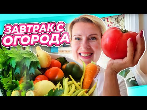 Видео: ПОТОПАЛИ ПОЛОПАЛИ | ПРОБЛЕМА С ГОРТЕНЗИЕЙ И ФАСОЛЬ В ТОМАТНОМ СОУСЕ