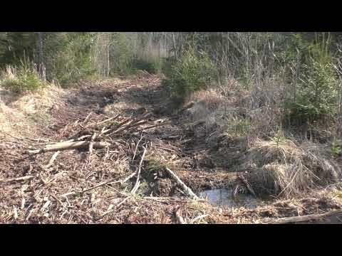 Видео: Как бы не затоптали. Походная геометрия. Снова идём к Лугам.