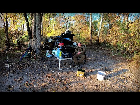 Видео: Осінній фідер на Дніпрі !!! Пора сушити Тарань!