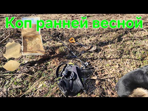Видео: Поиск монет в коллекцию с металлоискателем в овраге