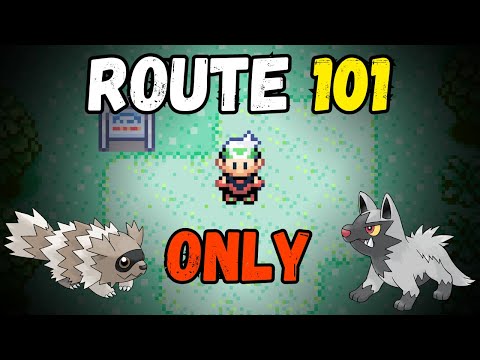 Видео: Можно ли победить Эмеральда, используя ТОЛЬКО покемонов Маршрута 1?