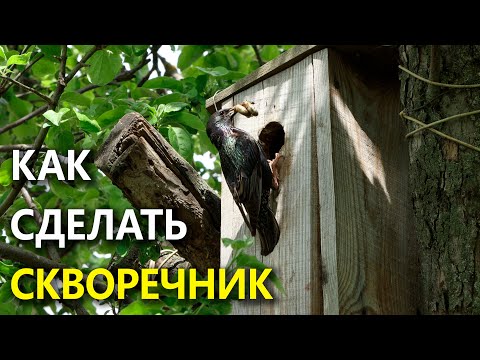 Видео: Размеры скворечника. Как сделать простой, но хороший домик для птиц?