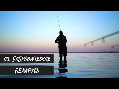 Видео: Ловля дикого карпа ранней весной (оз. Бобровическое, Беларусь, апрель 2019)