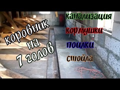 Видео: Помещение на 7 голов молочного крс// канализация в коровнике//что переделать в стойлах