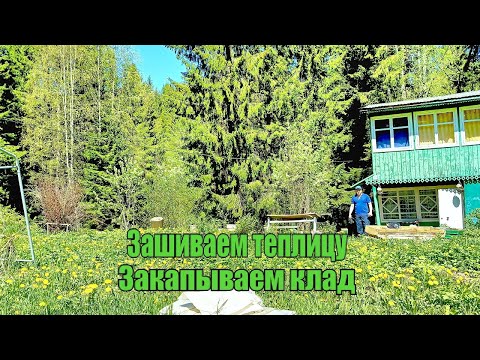 Видео: Дача. Зашиваем теплицу, закапываем клад!