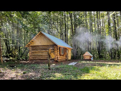 Видео: Два дня в избе | Запах привлёк хозяина тайги | Качаем мед | Родник | Садим дуб