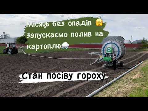Видео: Місяць без опадів😭 поливаємо картоплю🌧️