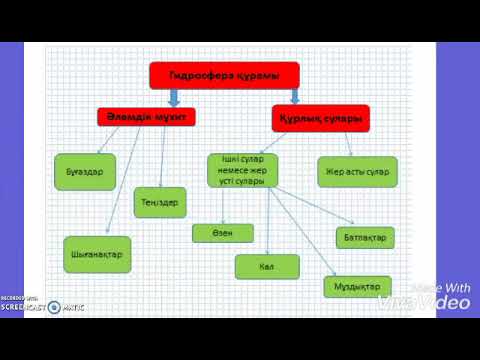 Видео: Мұхиттар