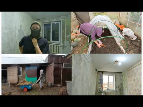 Видео: КОРОВ ПРОДАЛИ, А ЛЕГЧЕ НЕ СТАЛО...