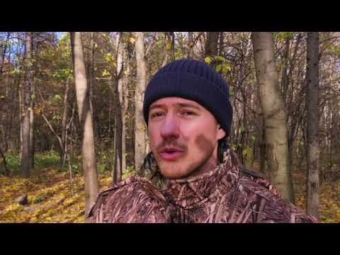 Видео: Самодельные кормушки для птиц