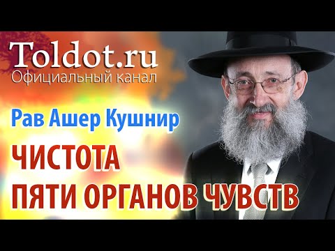 Видео: Рав Ашер Кушнир. Чистота пяти органов чувств. Месилат Йешарим 56