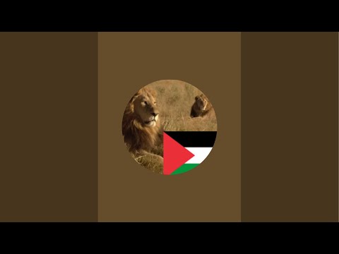 Видео: Daniella Дана Yussupbek is live!